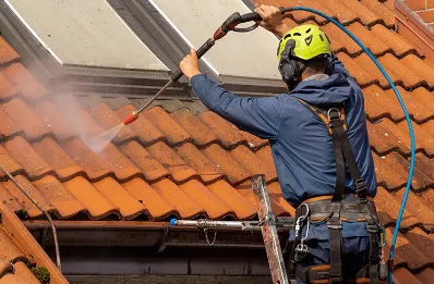 Démoussage et hydrofuge de toiture à Lourde